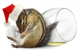 Avoid Triggers and Relapse