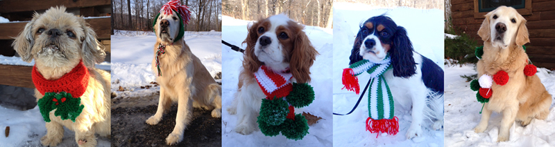 Christmas Dogs