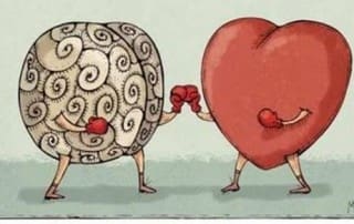 reasoning mind 2 - illustration brain boxing heart