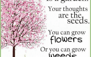 will - your mind is a garden pink tree