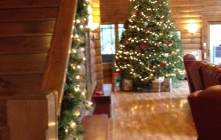 lighted Christmas tree