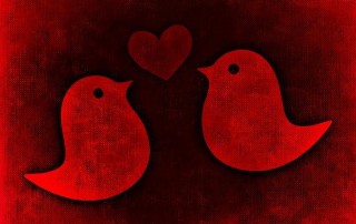 two birds with a heart - red