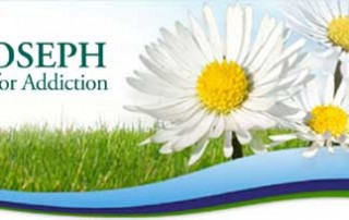 daisies and SJI logo