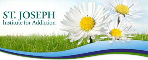 daisies and SJI logo