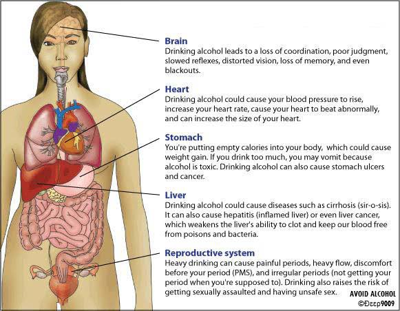 How Alcoholism and Alcohol Abuse Affect Your Body - alcohol's effects on the brain, heart, stomach, liver and reproductive system