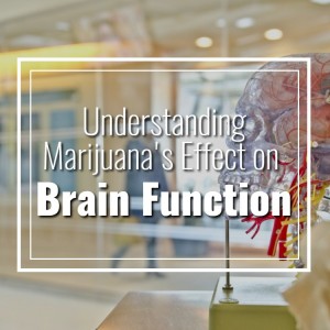 Understanding Marijuana's Effect on Brain Function