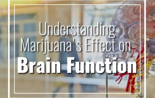 Understanding Marijuana's Effect on Brain Function